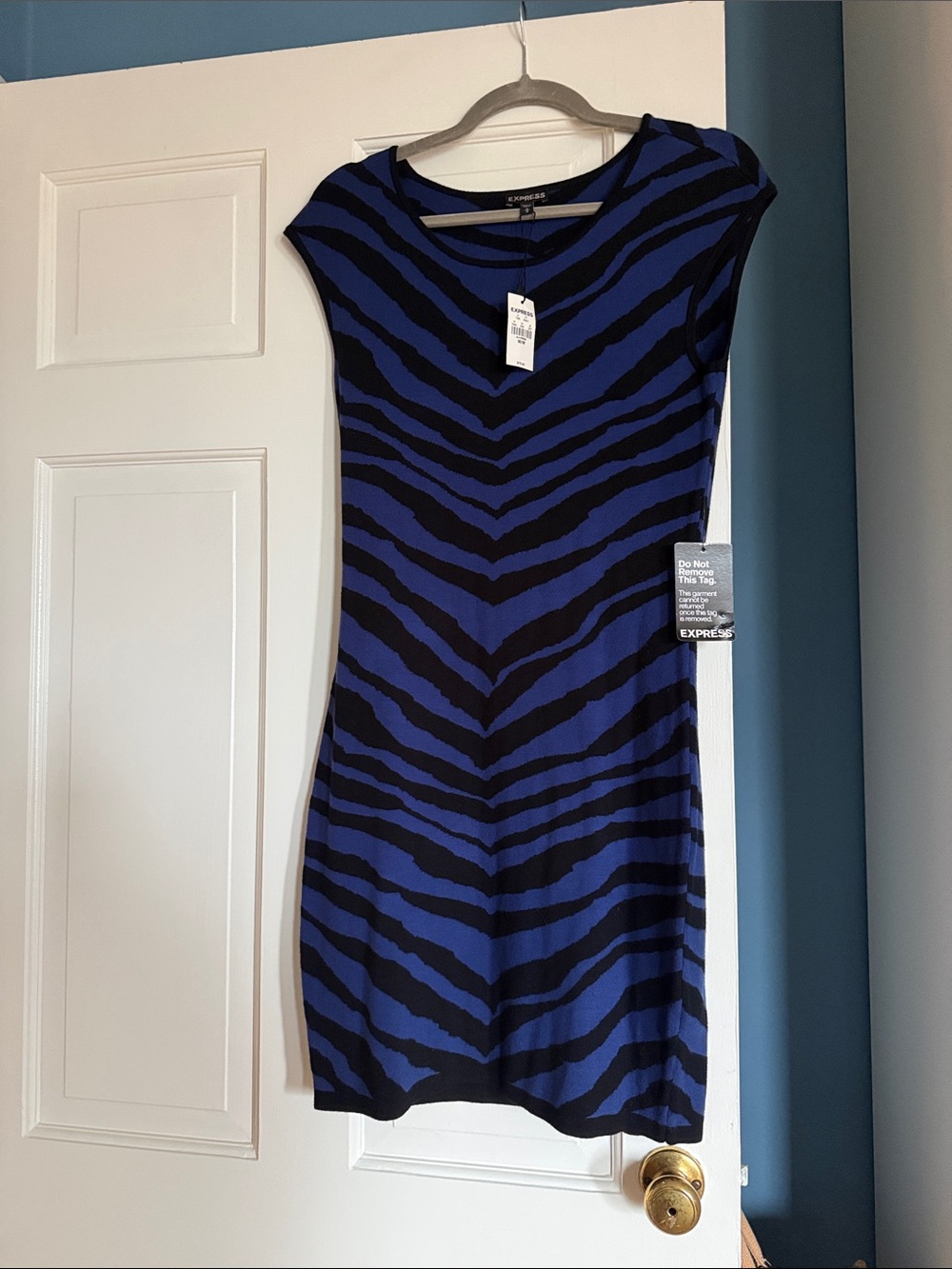 Express Blue and Black Zebra-Print Cap-Sleeve Mini Dress